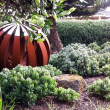 Practical solutions for dry gardens